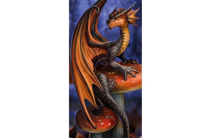 Anne Stokes Slim Calendar 2027