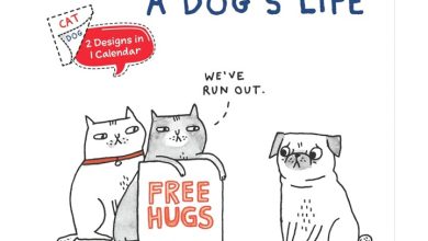 Gemma Correll