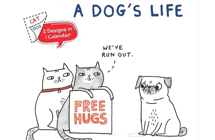 Gemma Correll