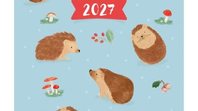 Hedgehogs A7 Diary 2027