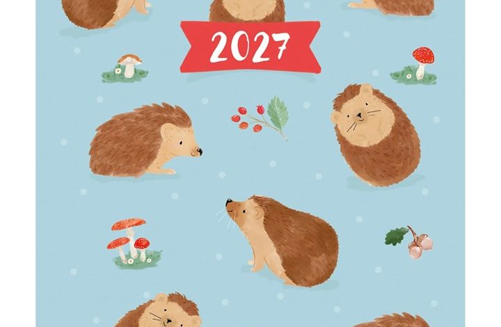 Hedgehogs A7 Diary 2027