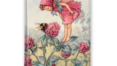 Flower Fairies A6 Diary 2027