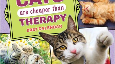 Cats Are Cheaper Than Therapy Calendar 2027