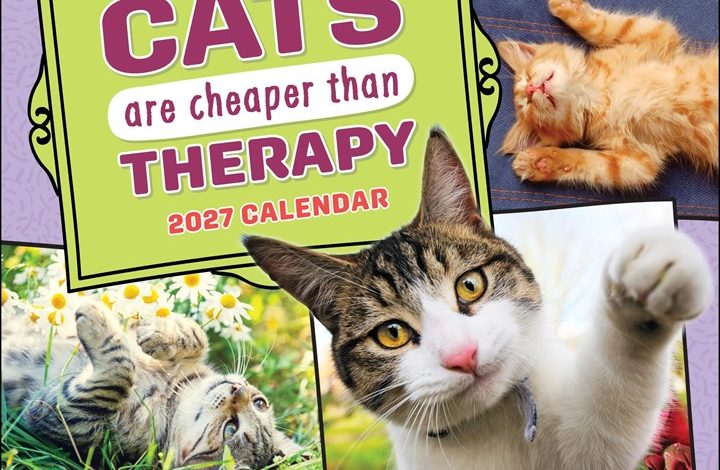 Cats Are Cheaper Than Therapy Calendar 2027