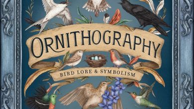 Ornithography Calendar 2027