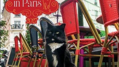 Cats In Paris Calendar 2027