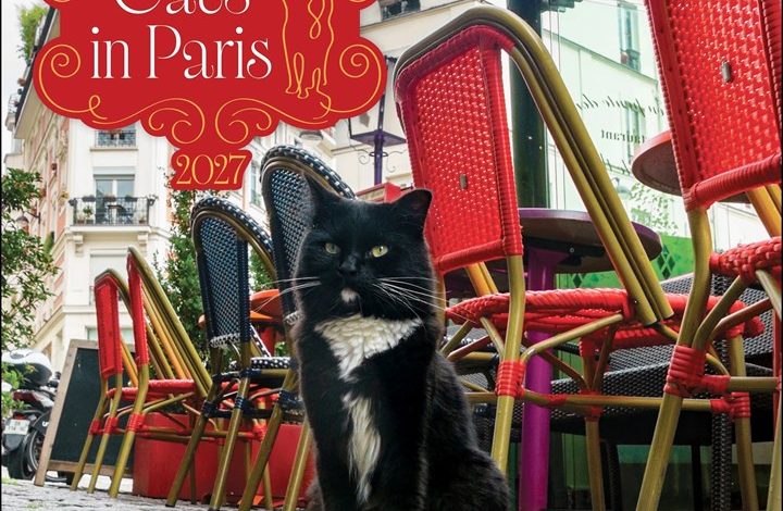 Cats In Paris Calendar 2027