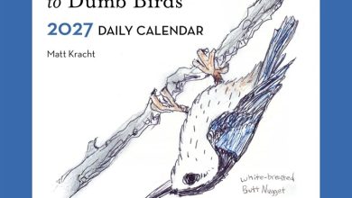 The Field Guide To Dumb Birds Desk Calendar 2027