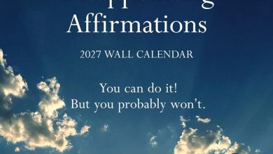 Disappointing Affirmations Calendar 2027