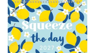 Squeeze The Day Easel Desk Calendar 2027