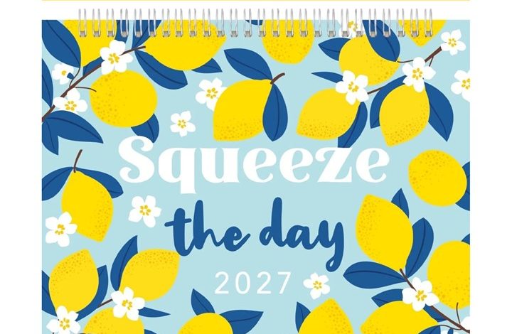 Squeeze The Day Easel Desk Calendar 2027