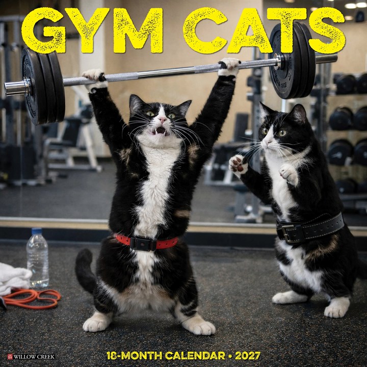 Gym Cats Calendar 2027