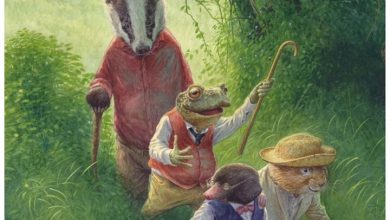 Wind in the Willows Family Organiser 2027