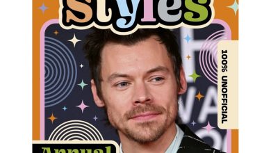 Harry Styles Annual 2027