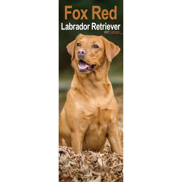 Fox Red Labrador Retriever Slim Calendar 2027