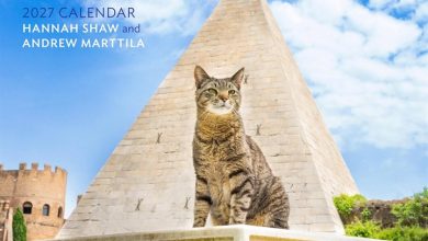 Cats of the World Calendar 2027