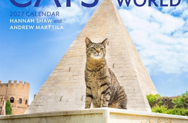 Cats of the World Calendar 2027