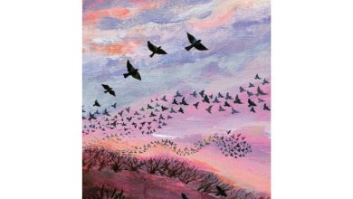 Lucy Grossmith