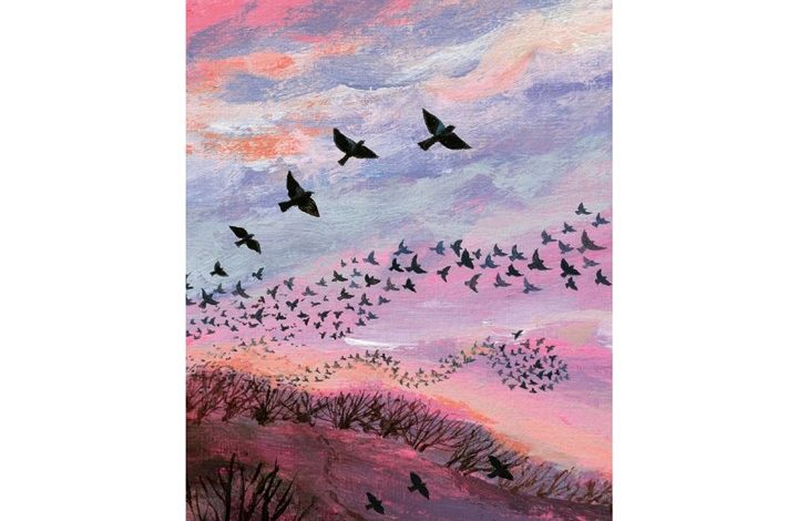 Lucy Grossmith