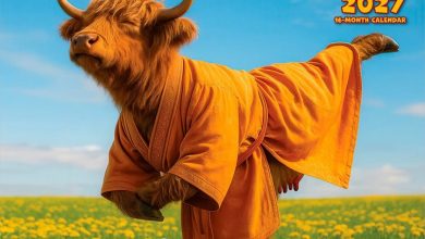 Zen Cows Calendar 2027