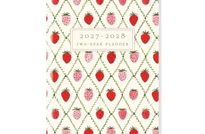 Strawberries Monthly Slim Monthly Diary 2027 - 2028