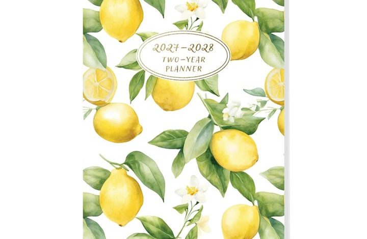 Lemon Monthly Slim Diary 2027 - 2028