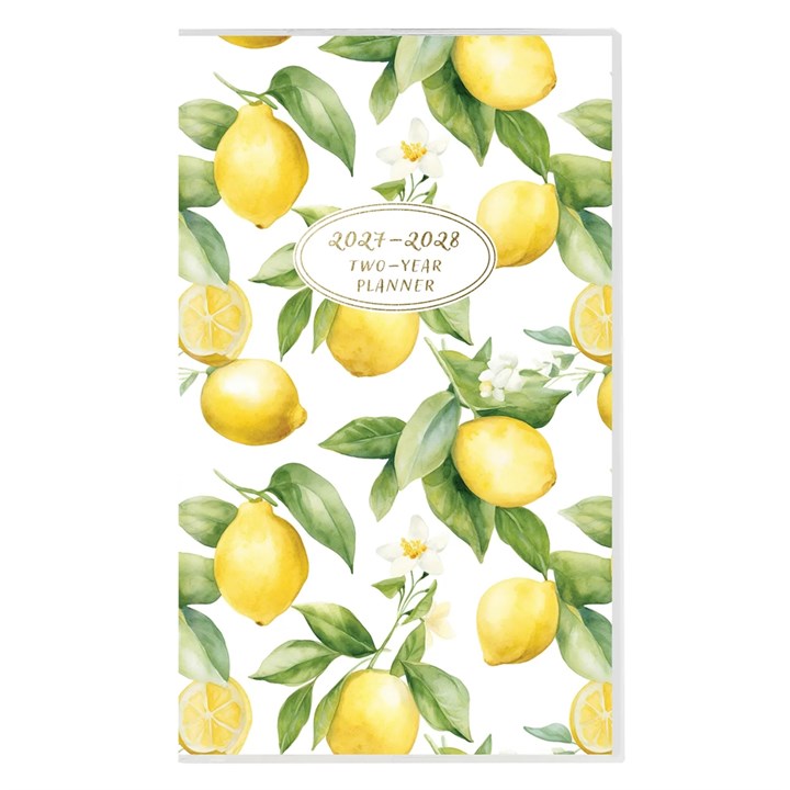 Lemon Monthly Slim Diary 2027 – 2028