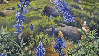 Phyllis Shafer