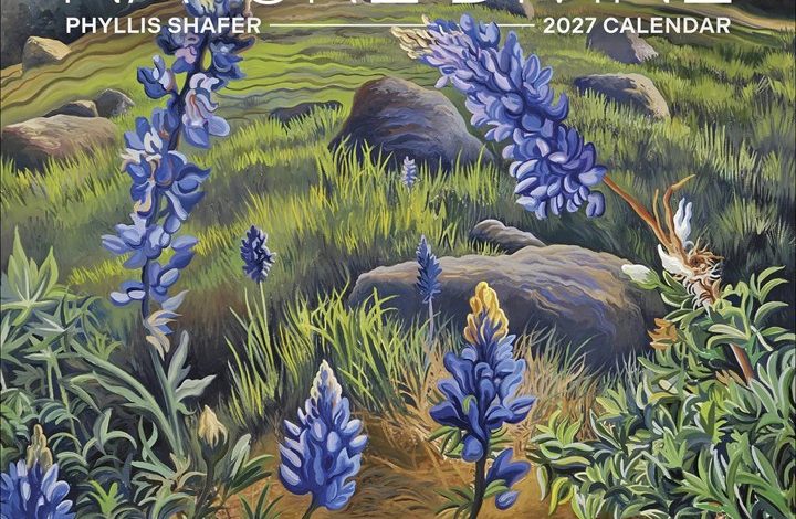 Phyllis Shafer