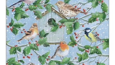 Winter Garden Square Traditional Advent Calendar
