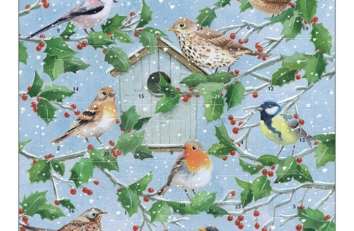 Winter Garden Square Traditional Advent Calendar