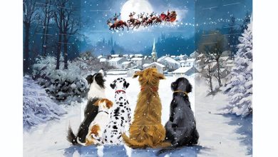 Waiting for Santa Freestanding Traditional Advent Calendar