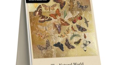 The Natural World Easel Desk Calendar 2027