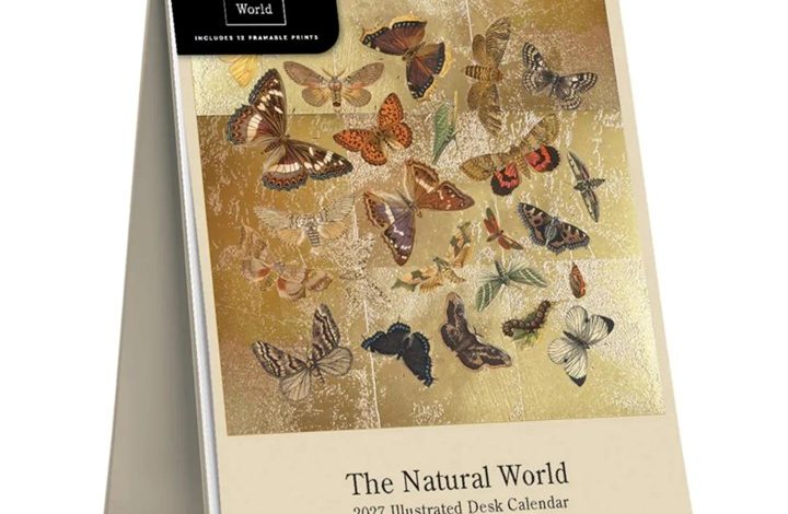 The Natural World Easel Desk Calendar 2027