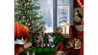 Cats at the Window A4 Traditional Advent Calendar