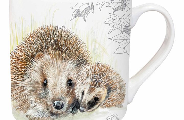 Hedgehog Tarka Mug