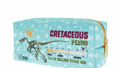 Natural History Museum Dinosaur Pencil Case