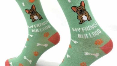 I Heart My French Bulldog Socks - Size 4 - 8