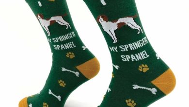 I Heart My Springer Spaniel Socks - Size 7 - 11