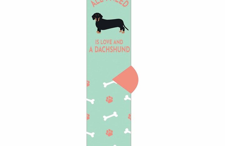 All I Need is Love and a Dachshund Socks - Size 4 - 8