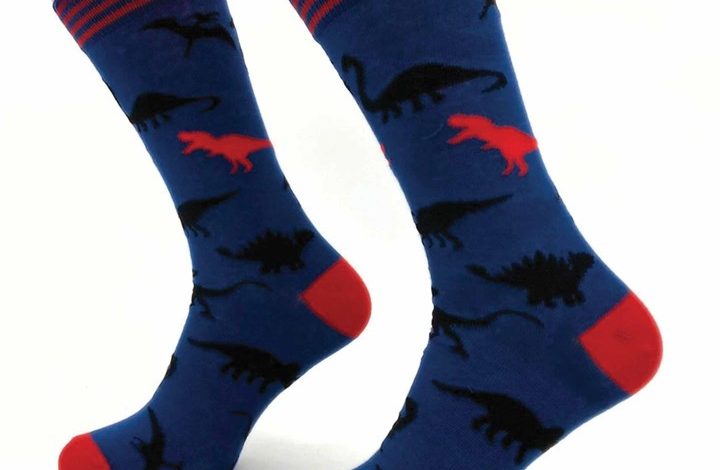 Dinosaur Socks - Size 7 - 11