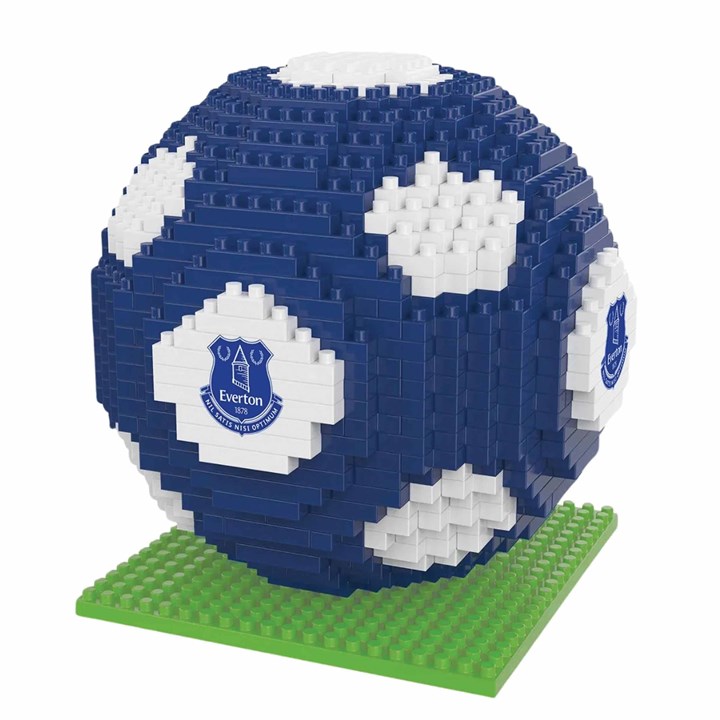 Everton FC BRXLZ Football