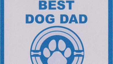 World's Best Dog Dad Coaster