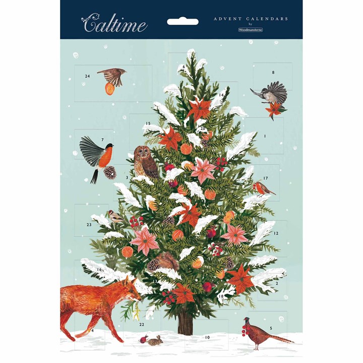 Frosted Pine Tree Traditional Advent Calendar