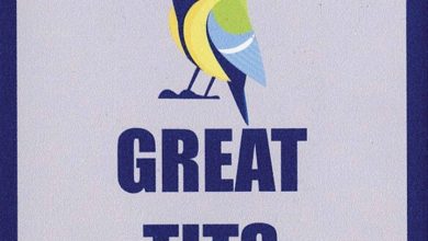 Great Tits Coaster