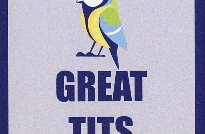 Great Tits Coaster