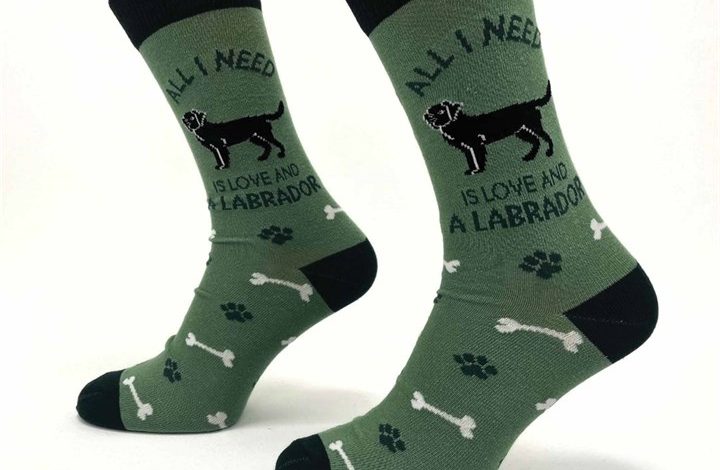 All I Need is Love and a Labrador Socks - Size 7 - 11