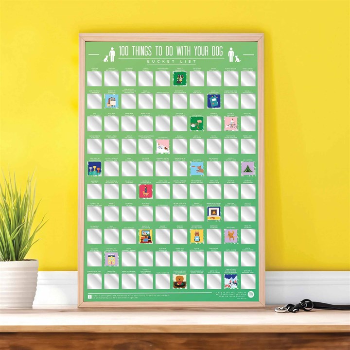 100 Things To Do With Your Dog Scratch Poster
