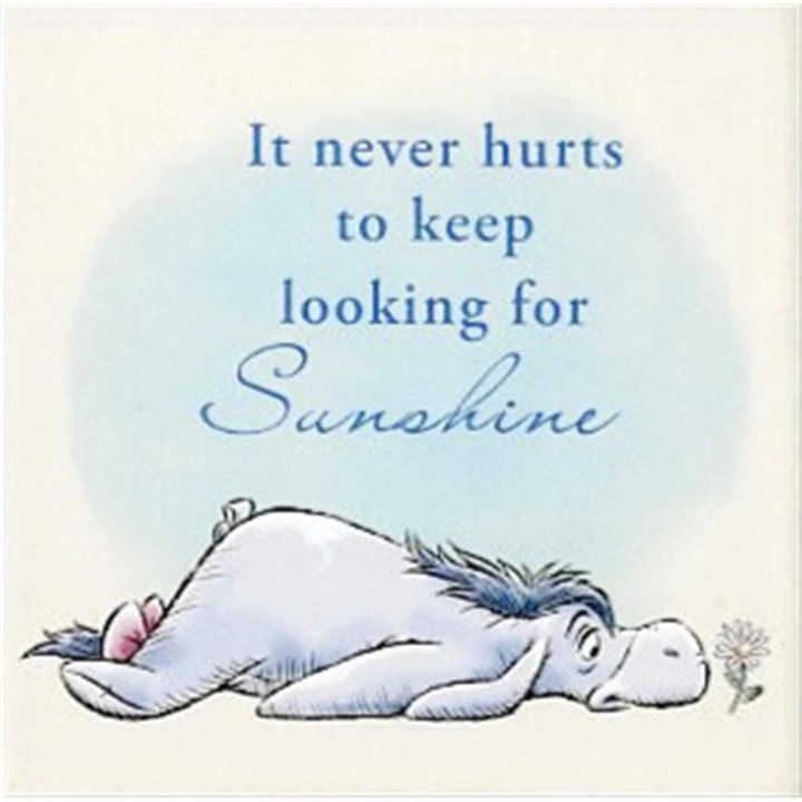 Disney, Winnie The Pooh, Eeyore Looking for Sunshine Coaster
