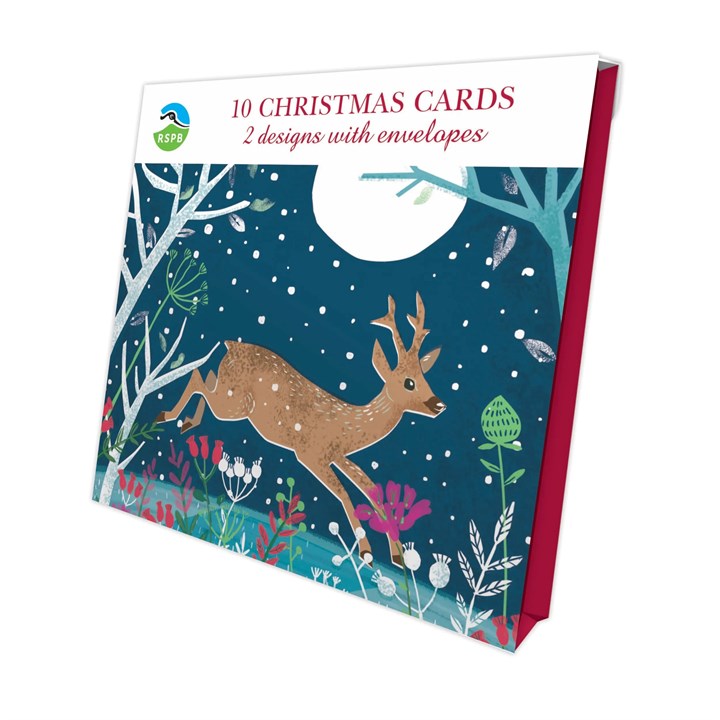 RSPB, Lux Moonlit Visitors, 10 Christmas Cards